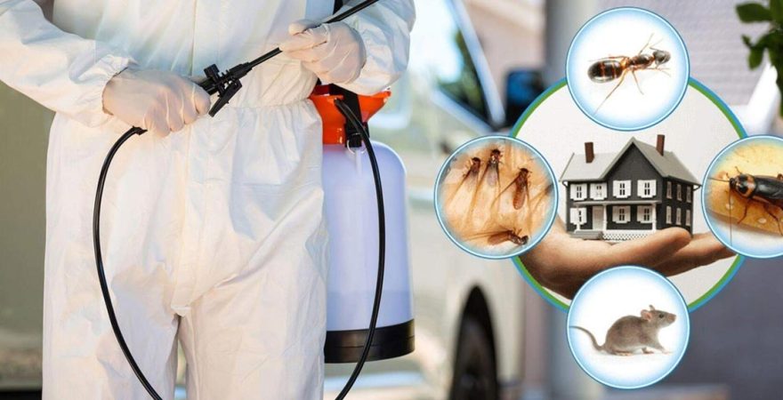 Efeler Böcek İlaçlama