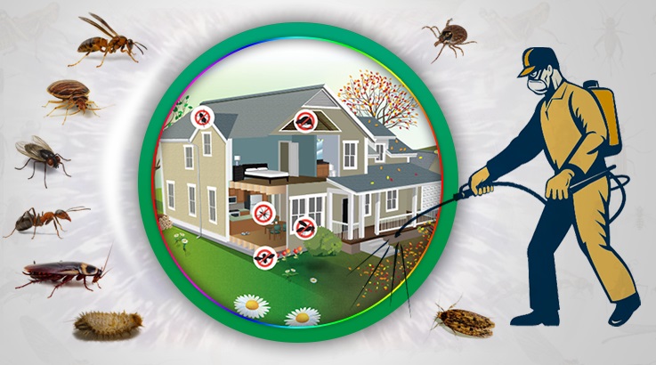 Efeler Böcek İlaçlama